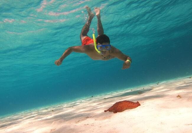Snorkel en las aguas de Cozumel